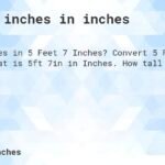 How Tall is 5’7 in Inches? A Simple Answer with Fun Facts!
